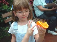 Alsatia and Savannah feed an orange to a butterlfy_th.jpg 7.4K